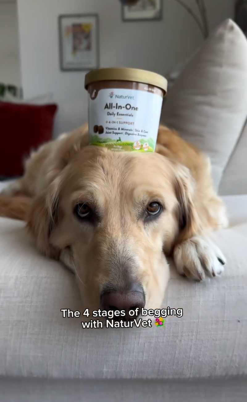 The food video everyone sent to a friend