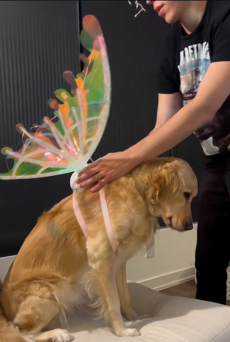 The dog made the product demo worth watching